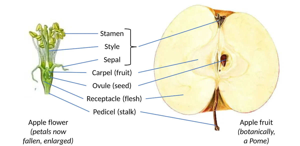 Screenshot 2026-04-07 12