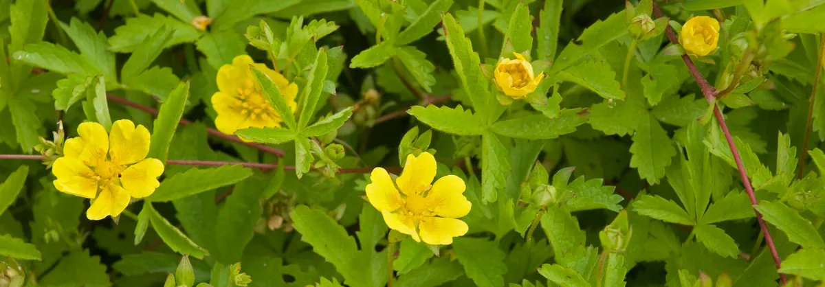 Screenshot 2026-04-11 3