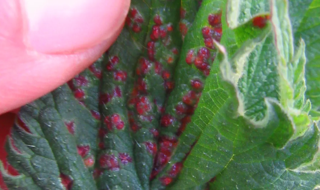 Screenshot 2026-04-17 8