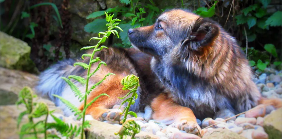 Screenshot 2026-01-29 12