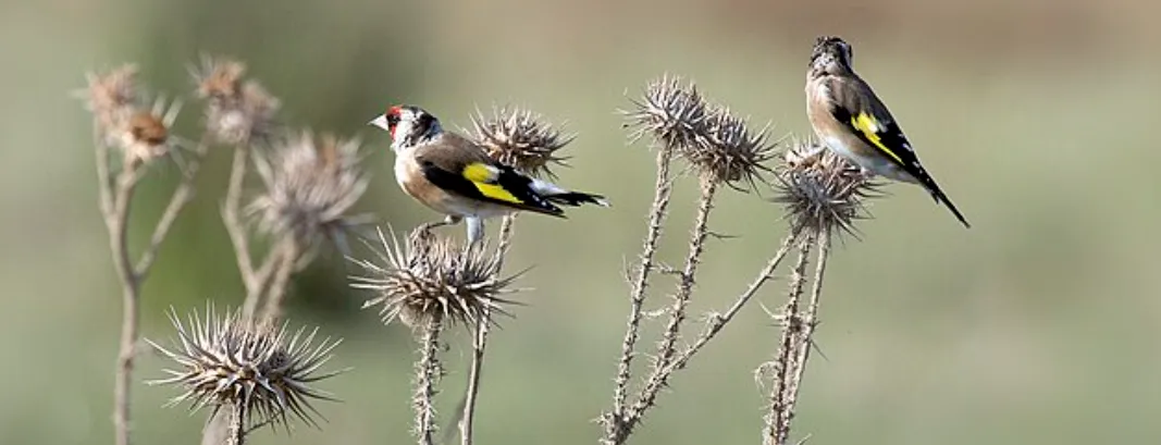 Screenshot 2026-04-14 9