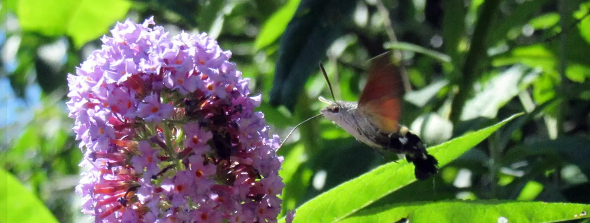 Screenshot 2026-02-04 18