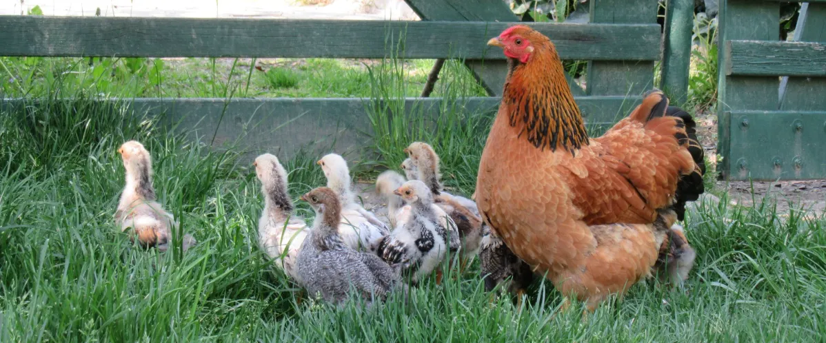 Screenshot 2026-02-14 13