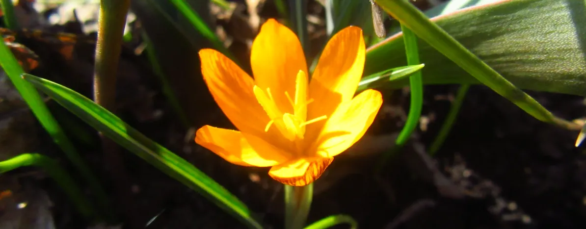 Screenshot 2026-03-01 11