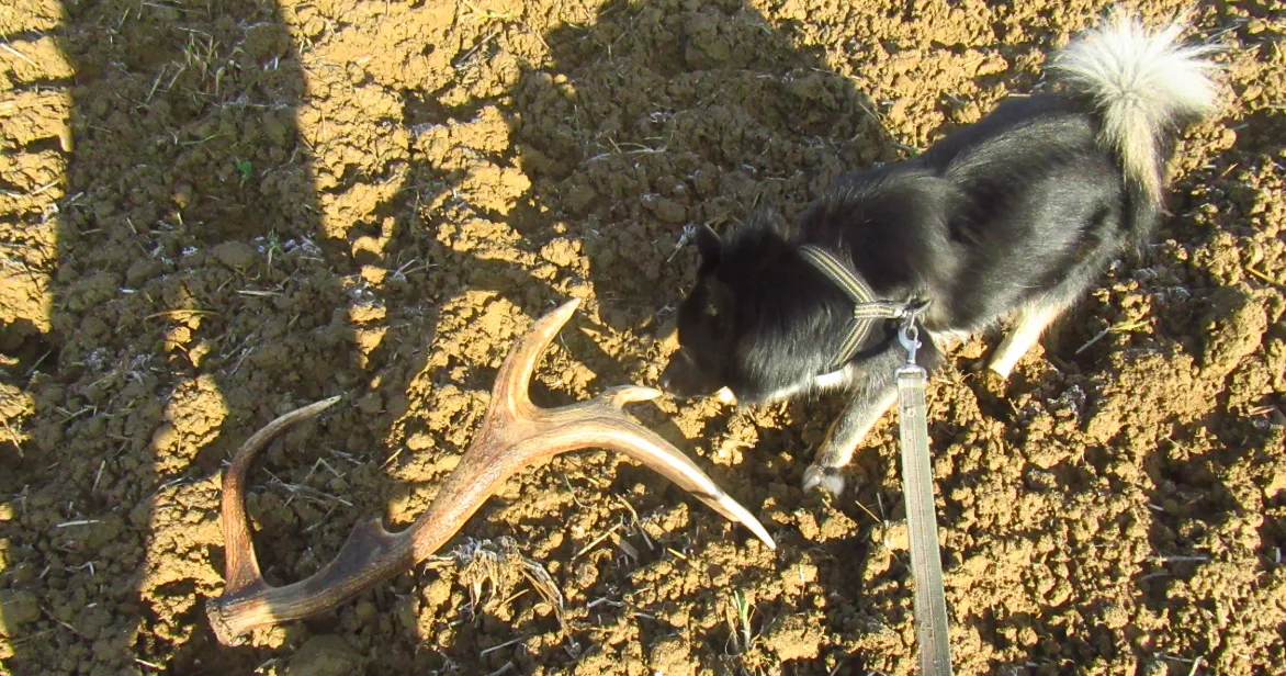 Screenshot 2026-03-01 11