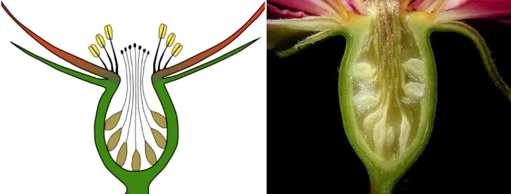 Screenshot 2026-04-07 12