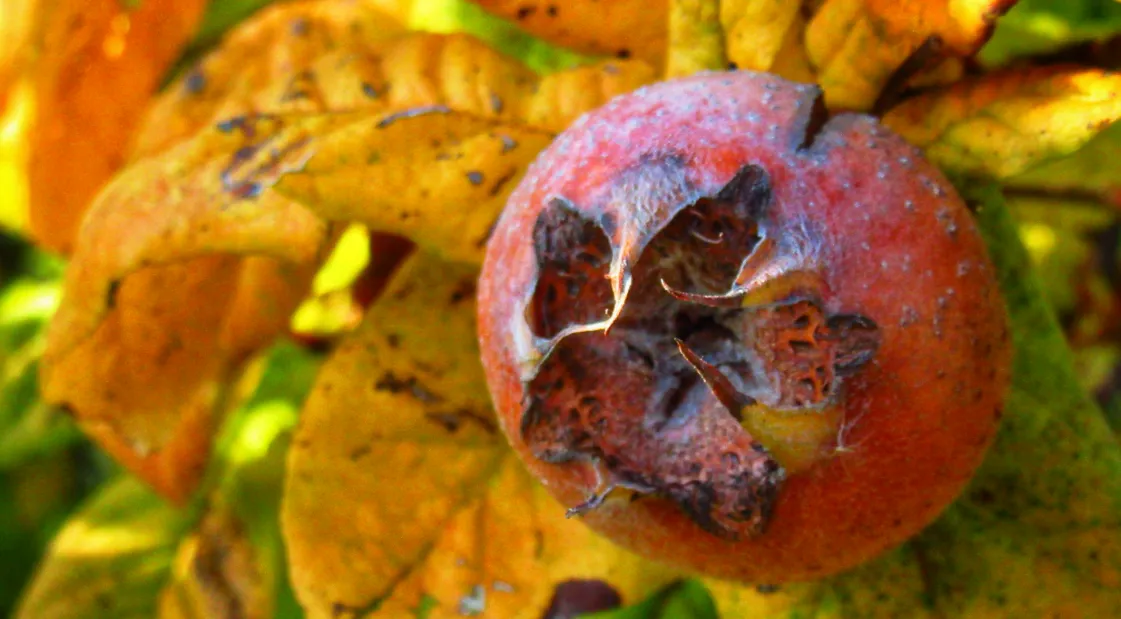 Screenshot 2026-04-07 6