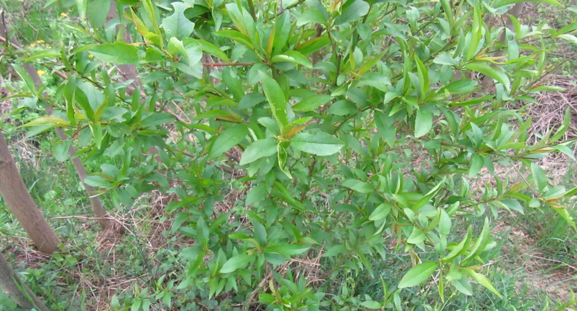 Screenshot 2026-04-13 2