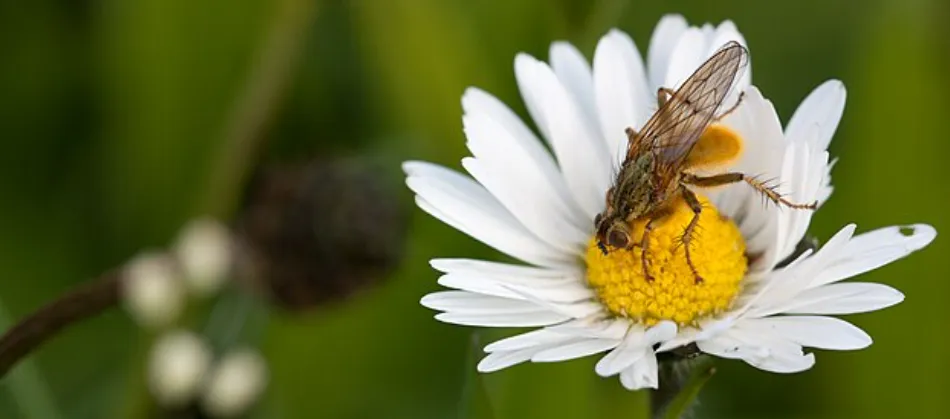 Screenshot 2026-04-10 5