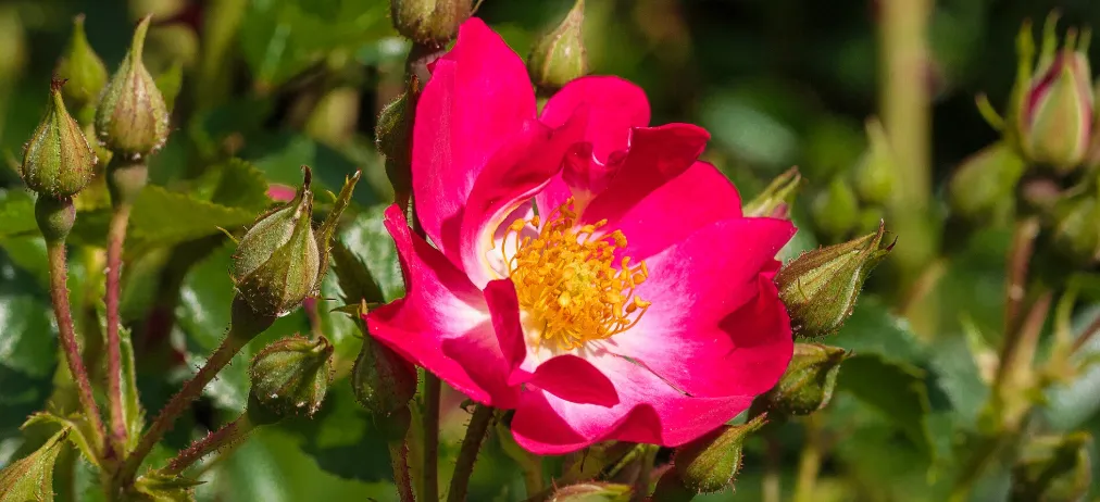 Screenshot 2026-04-11 4