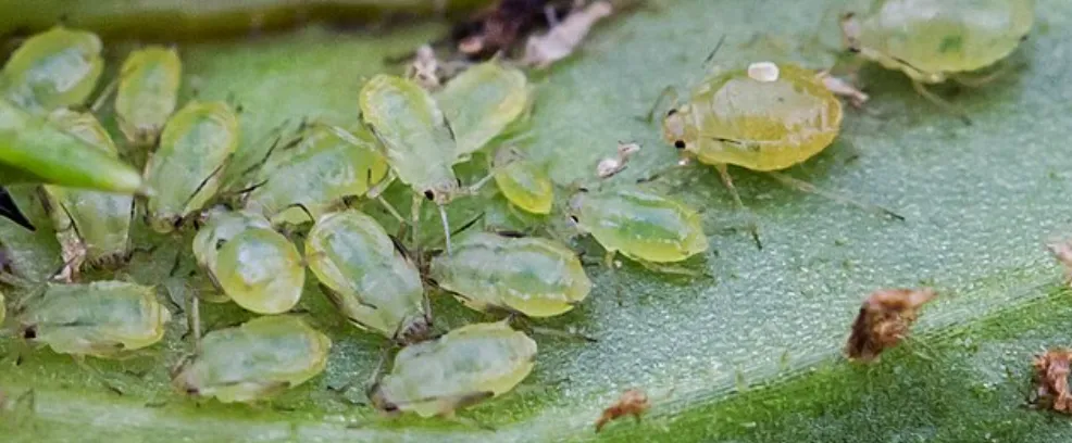 Screenshot 2026-04-13 3