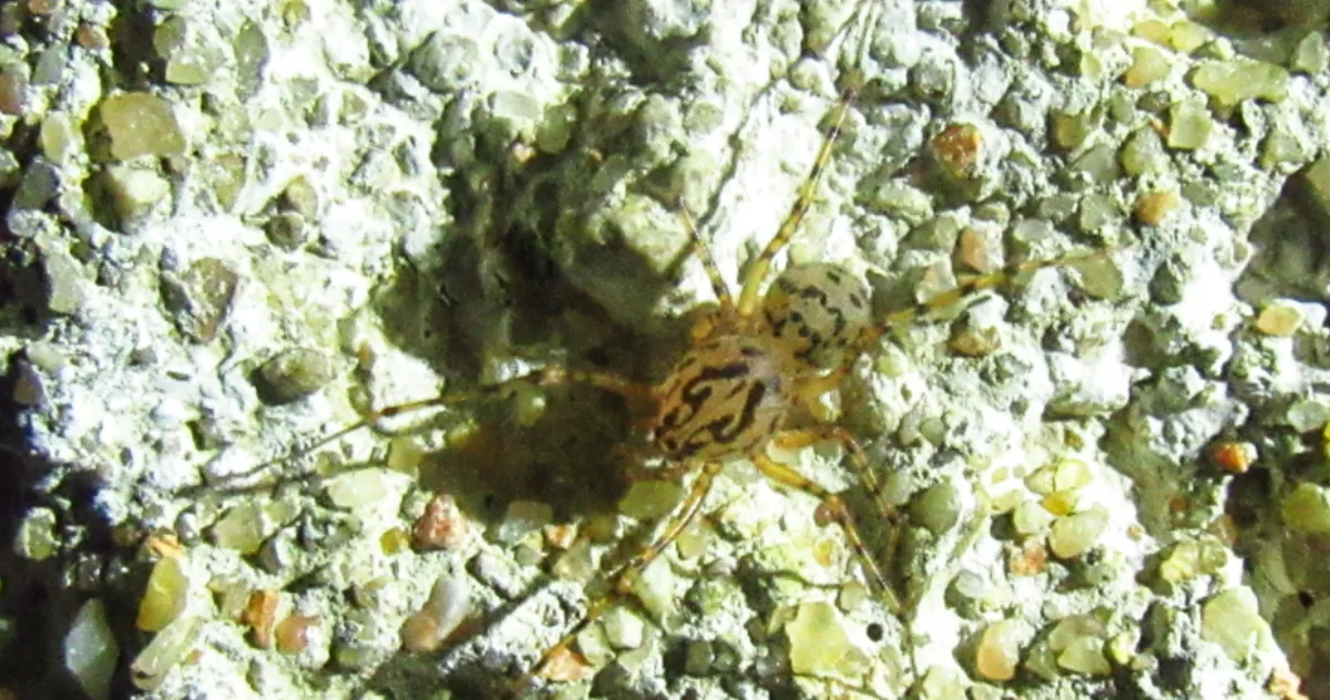 Screenshot 2026-04-04 5