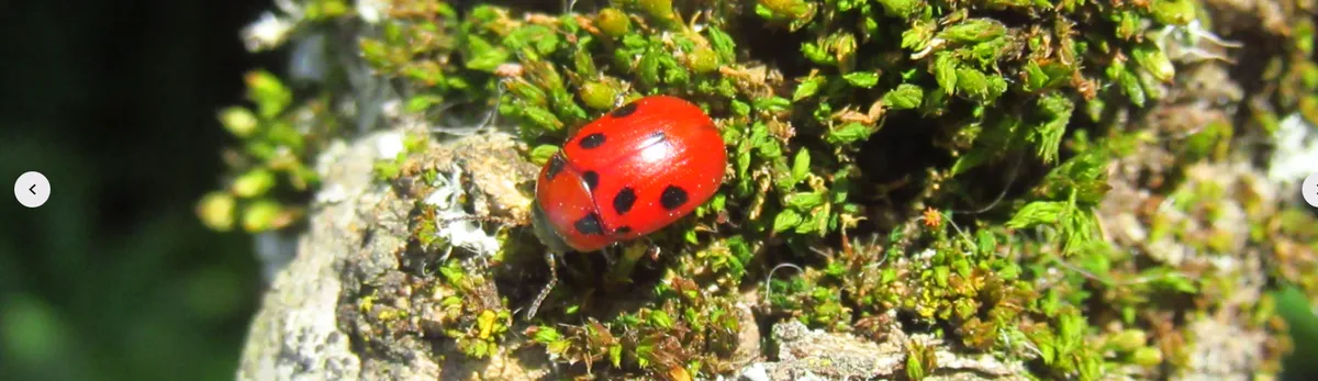 Screenshot 2026-02-13 13