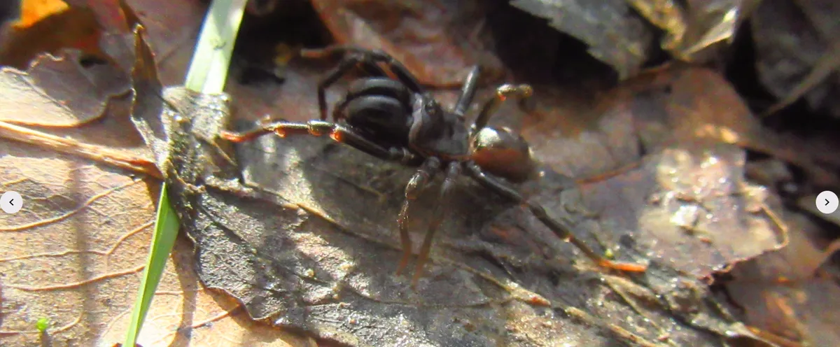 Screenshot 2026-02-12 20