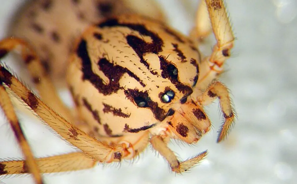 Screenshot 2026-04-04 6