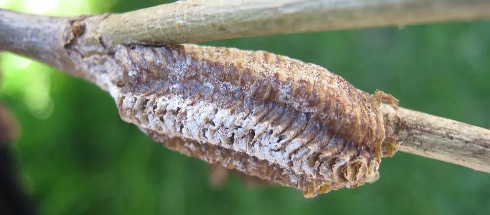 Screenshot 2026-02-06 19