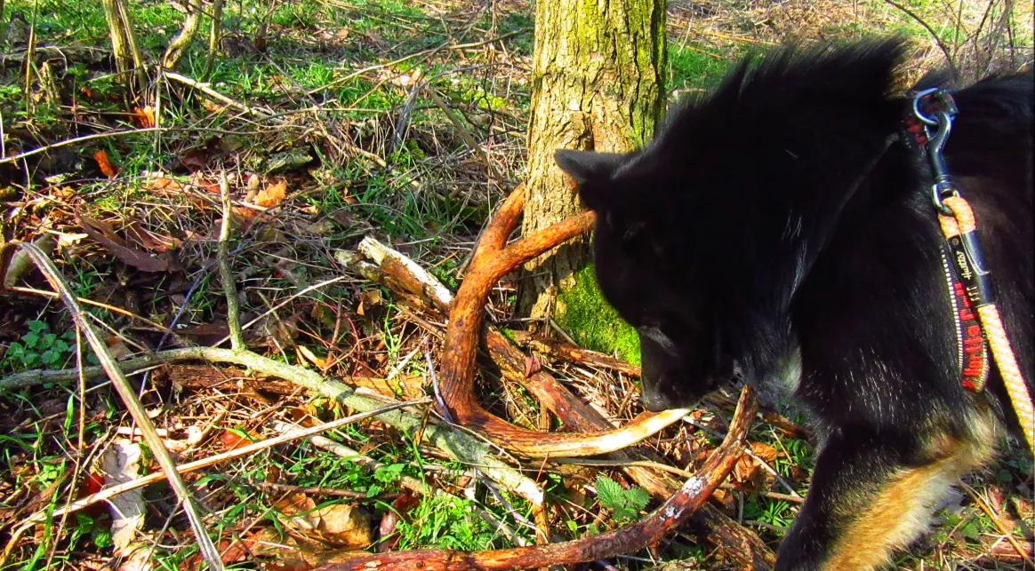 Screenshot 2026-03-01 8