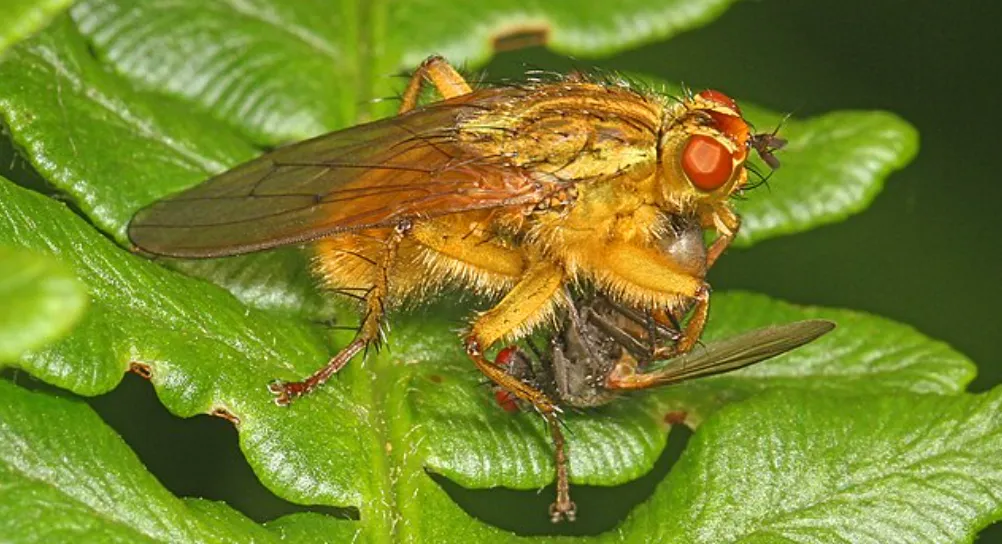 Screenshot 2026-04-10 5