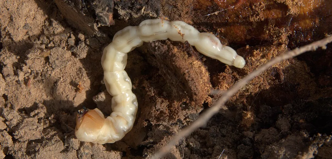 Screenshot 2026-04-18 8