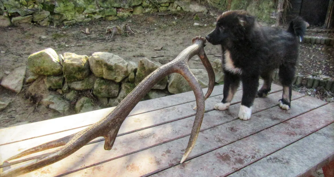 Screenshot 2026-03-01 8