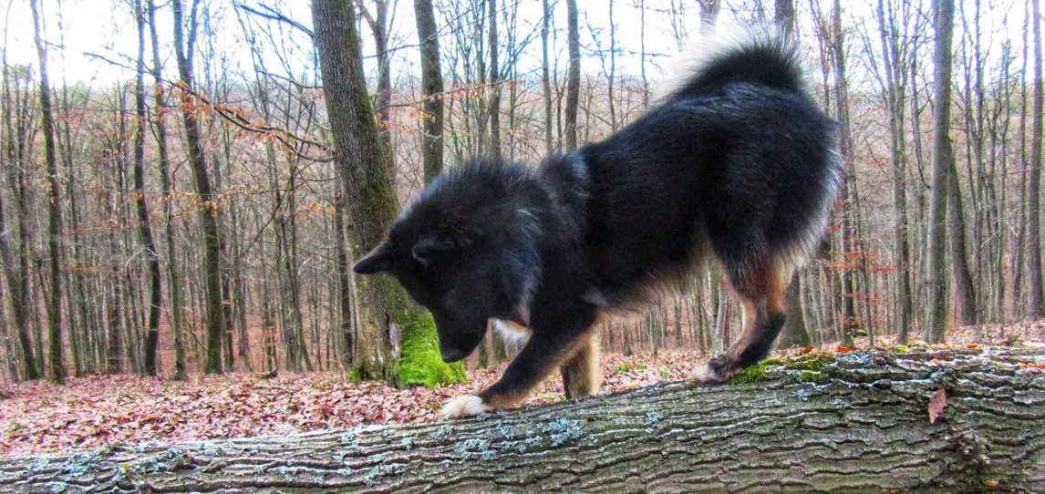 Screenshot 2026-02-14 13