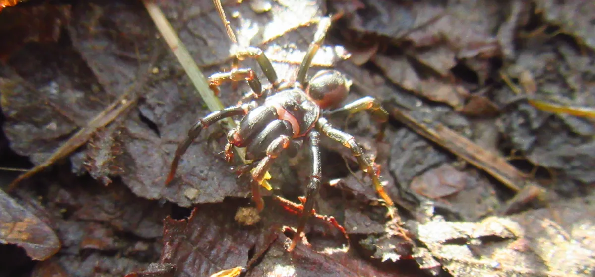 Screenshot 2026-02-13 10