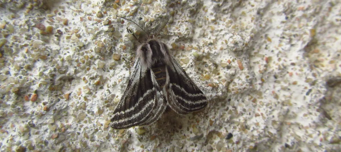 Screenshot 2026-03-01 11