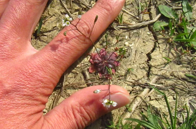 Screenshot 2026-04-04 4