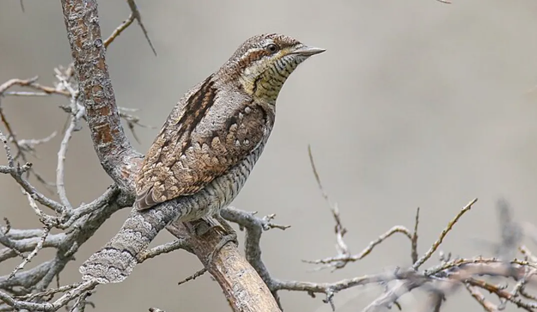 Screenshot 2026-04-09 5