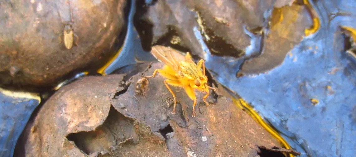 Screenshot 2026-04-09 8