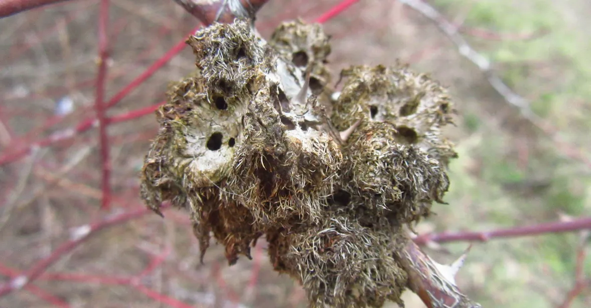 Screenshot 2026-02-07 21