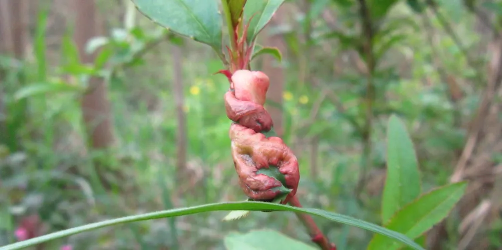 Screenshot 2026-04-13 2