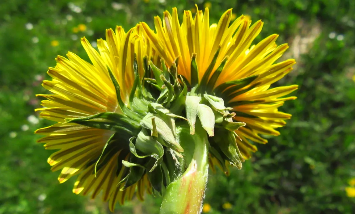 Screenshot 2026-04-06 4