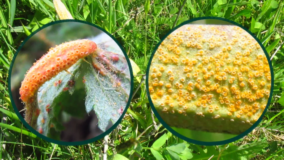 Screenshot 2026-04-18 3