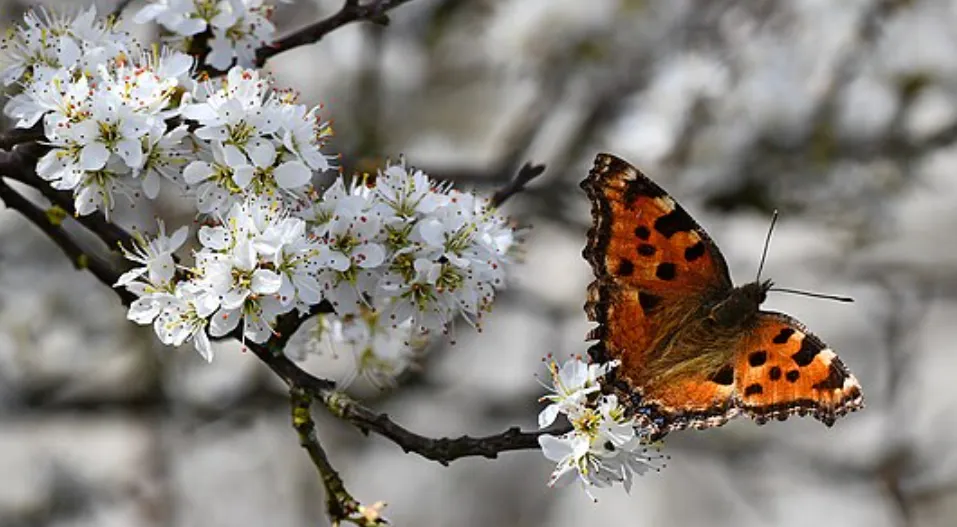 Screenshot 2026-04-11 3