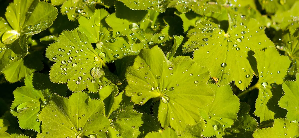 Screenshot 2026-04-11 3