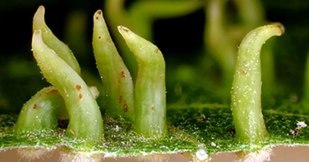 Screenshot 2026-02-07 16