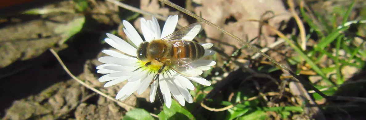 Screenshot 2026-03-01 11