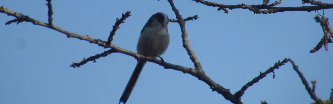 Screenshot 2026-03-07 12