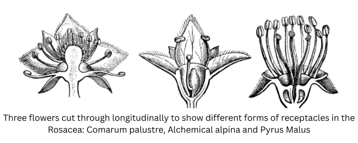 Screenshot 2026-04-07 2