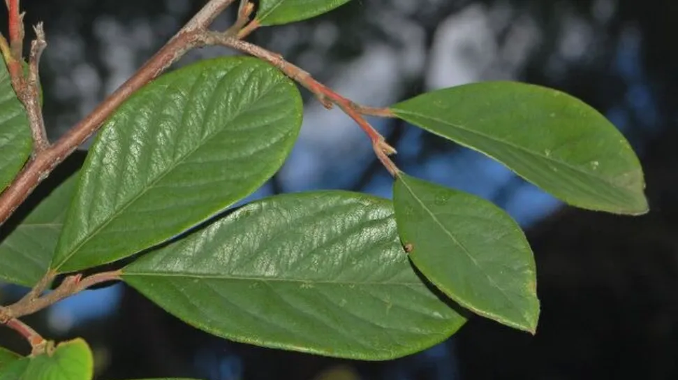 Screenshot 2026-04-07 2