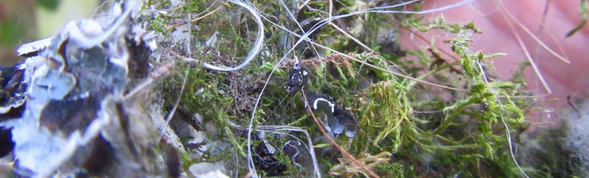 Screenshot 2026-03-07 12