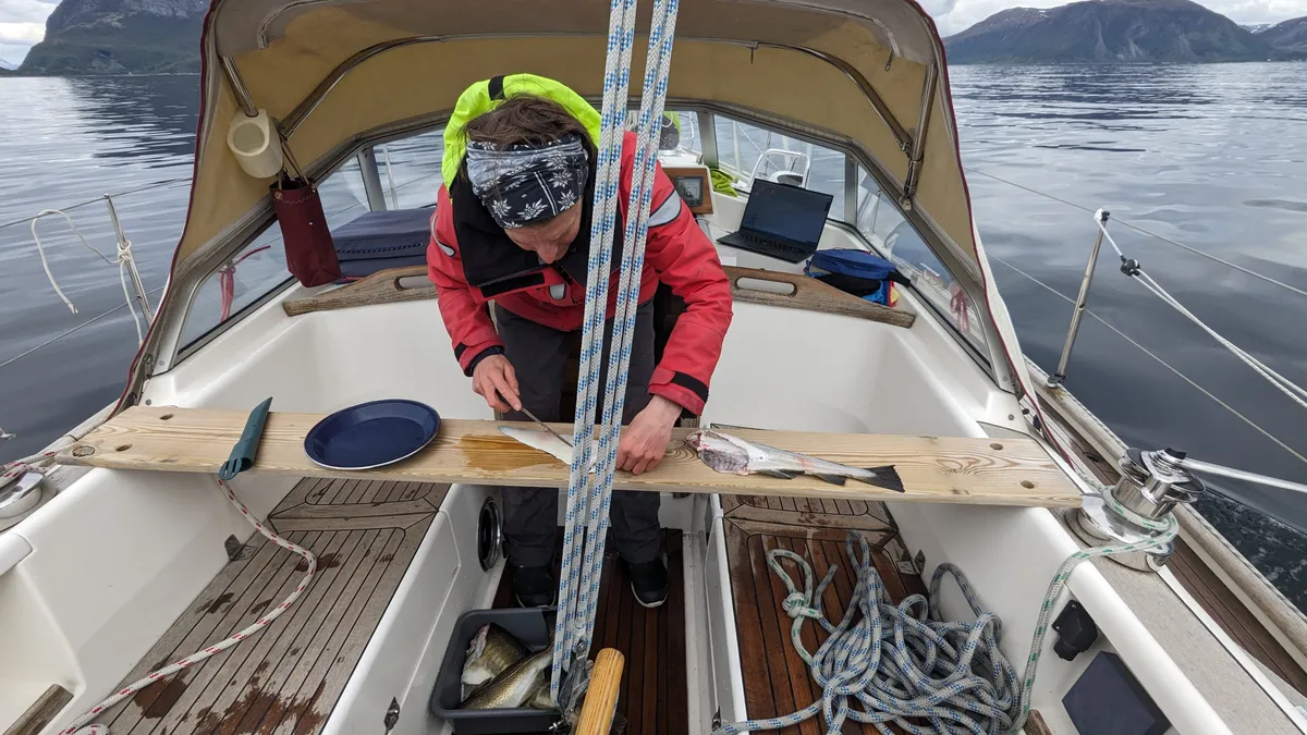 Fish fillet on board