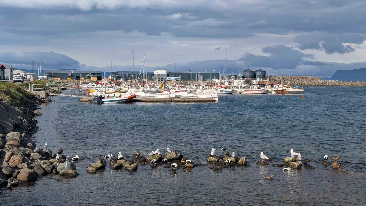 Bolungarvik harbour