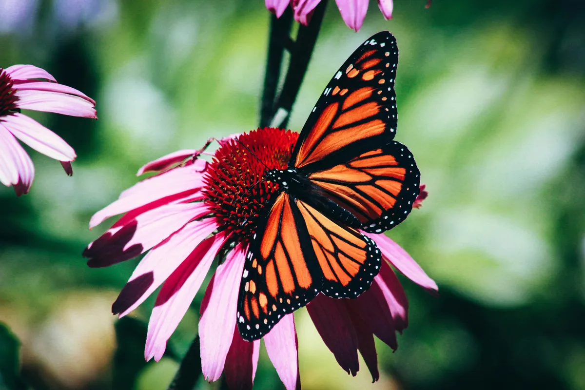 erin-minuskin-pw7qpvn9h-w-unsplash.webp