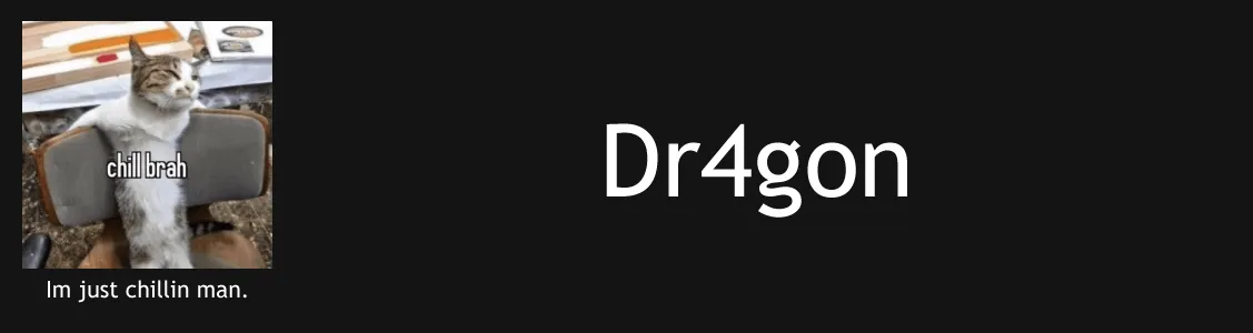 Dr4gon