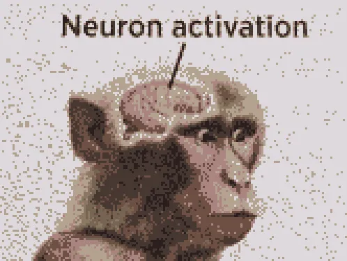 Changelog_1_Discoverability_neuron_activation