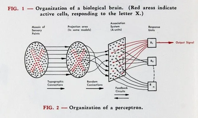 perceptron