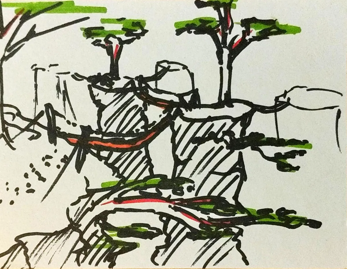index_card_jungle