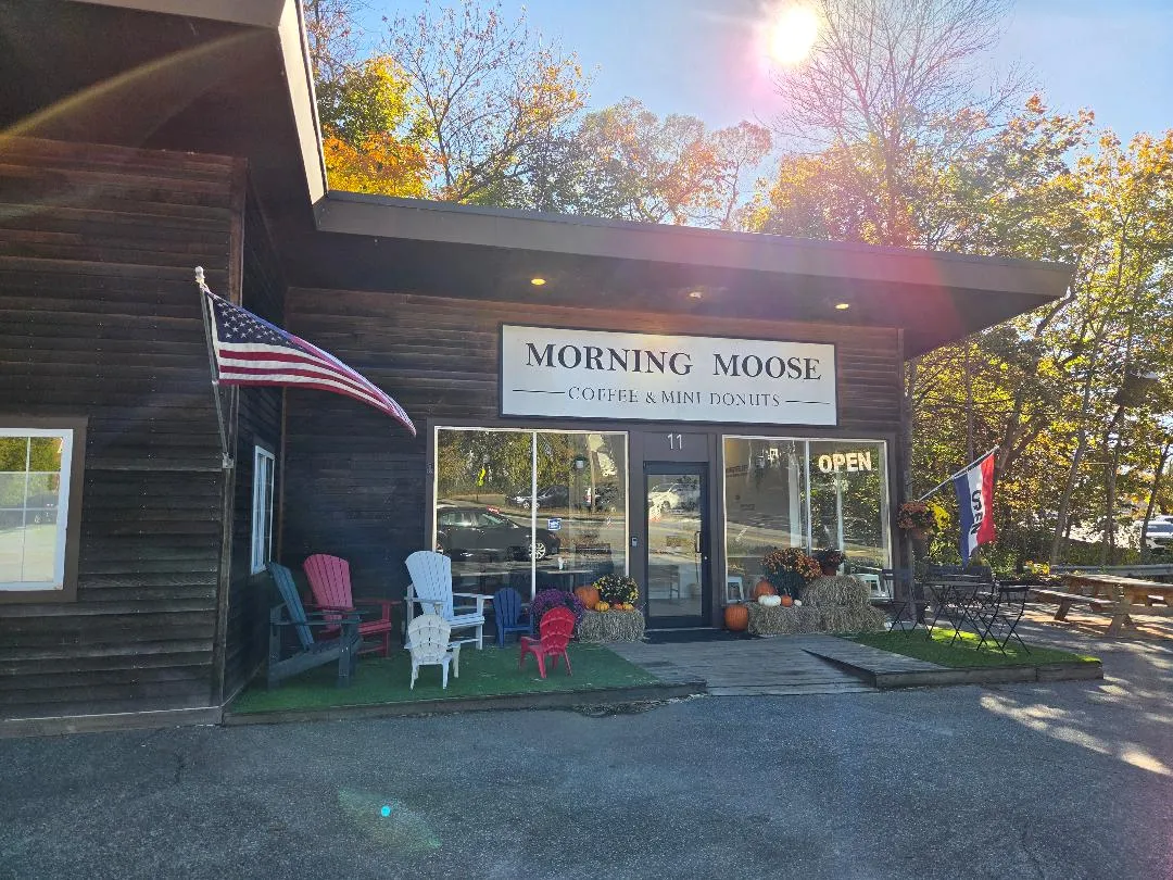 morning moose outdoor
